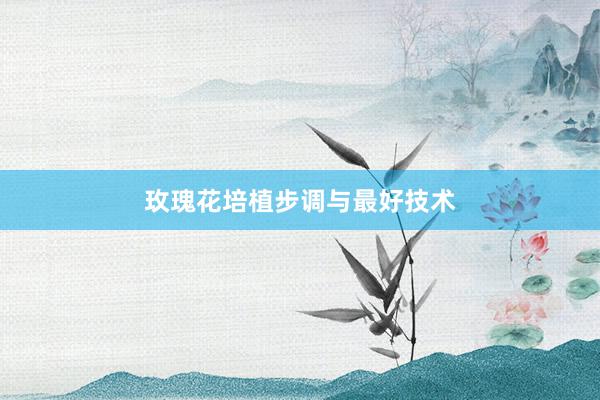 玫瑰花培植步调与最好技术